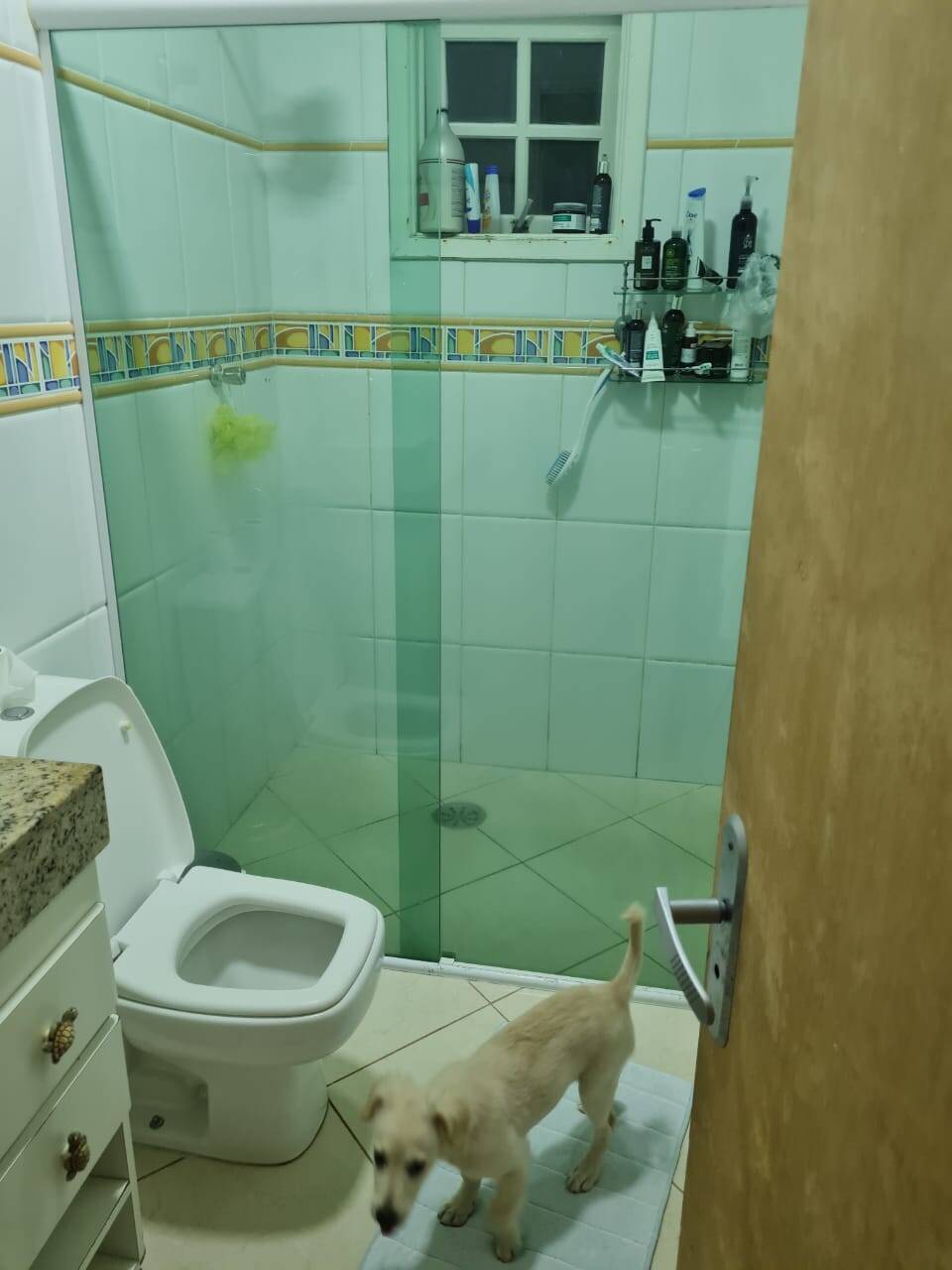 Casa à venda e aluguel com 3 quartos, 200m² - Foto 20