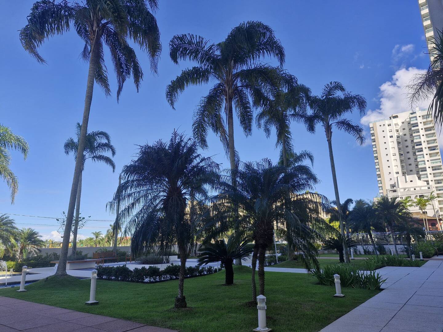 Apartamento, 4 quartos, 176 m² - Foto 61