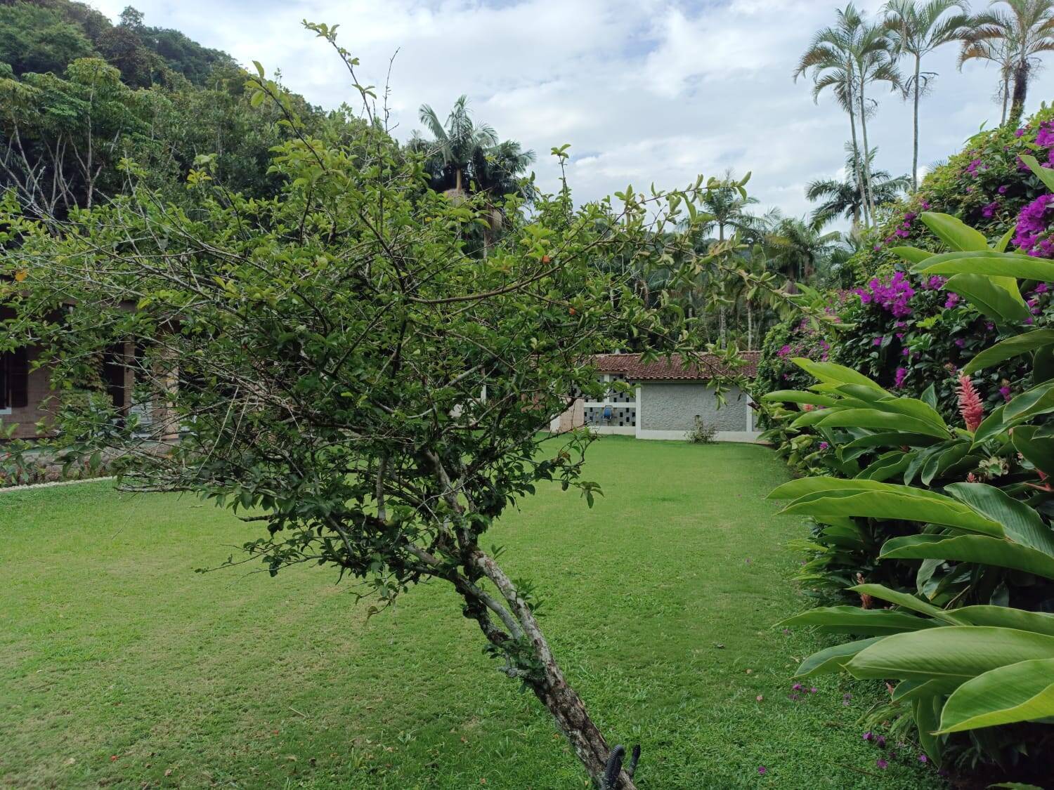 Casa à venda com 3 quartos, 1518m² - Foto 15