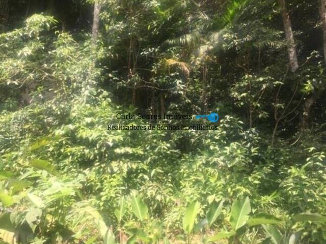 #TE0007 - Terreno para Venda em Guarujá - SP