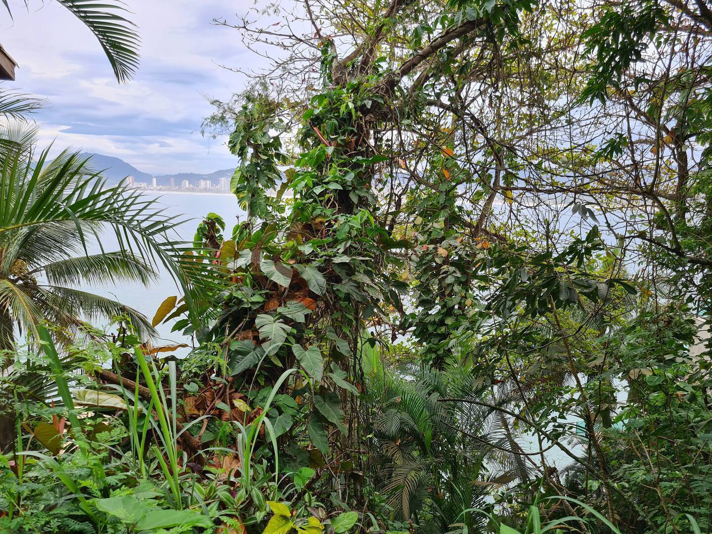 TERRENOS  A VENDA  PENÍNSULA