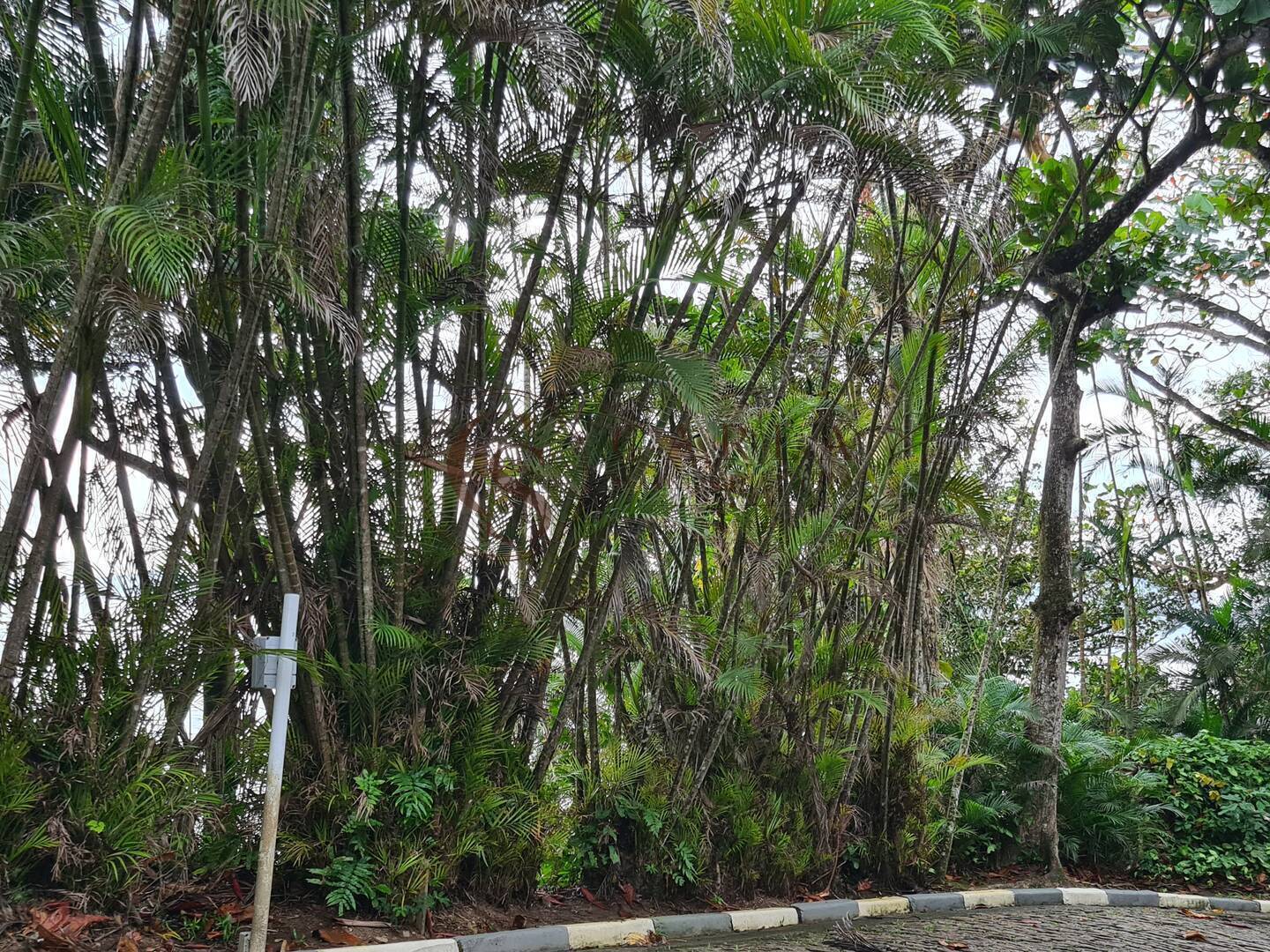 TERRENOS  A VENDA  PENÍNSULA