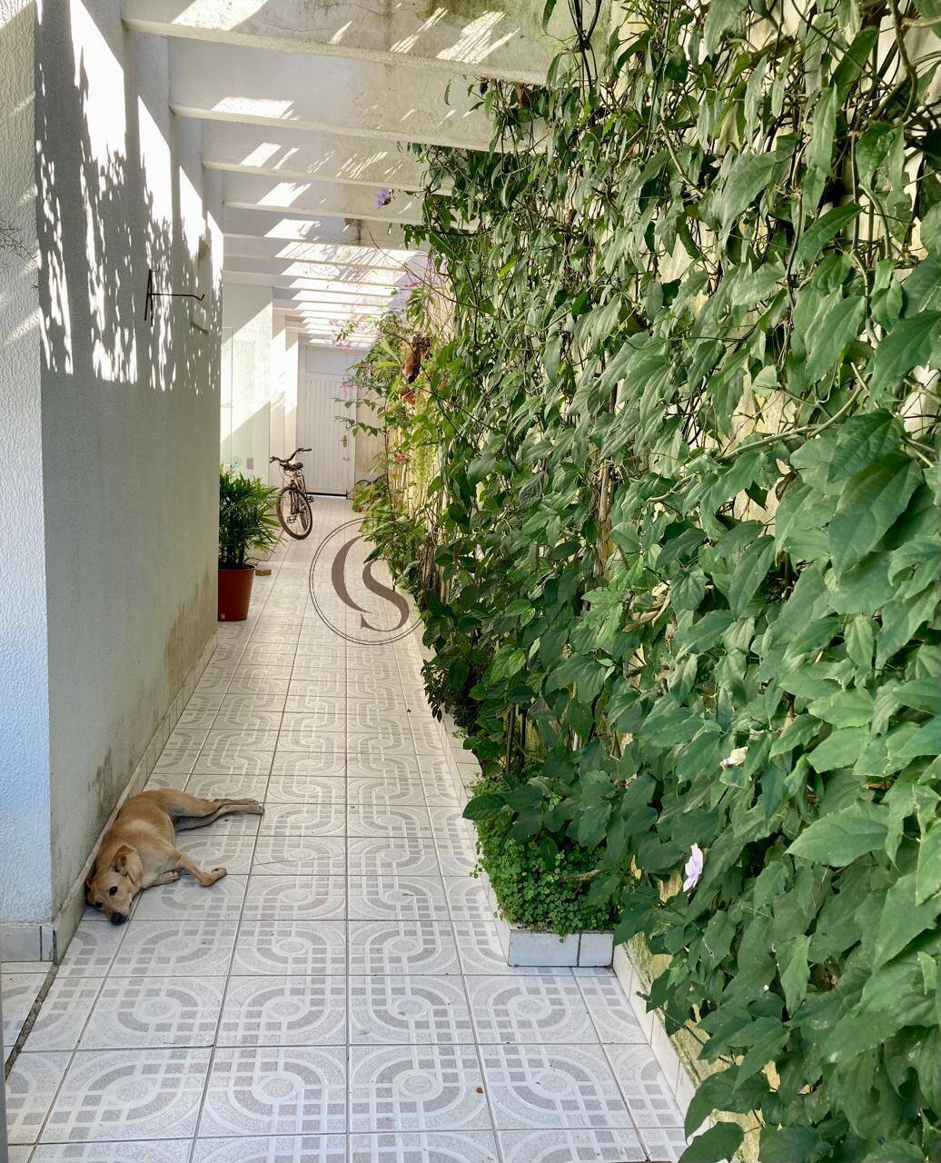 Casa, 5 quartos, 250 m² - Foto 13