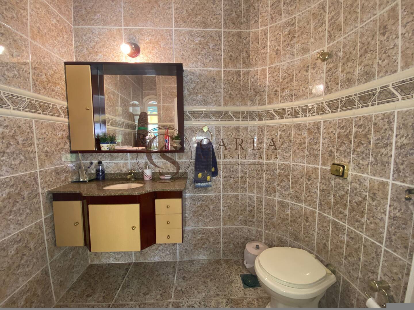 Casa, 5 quartos, 500 m² - Foto 59